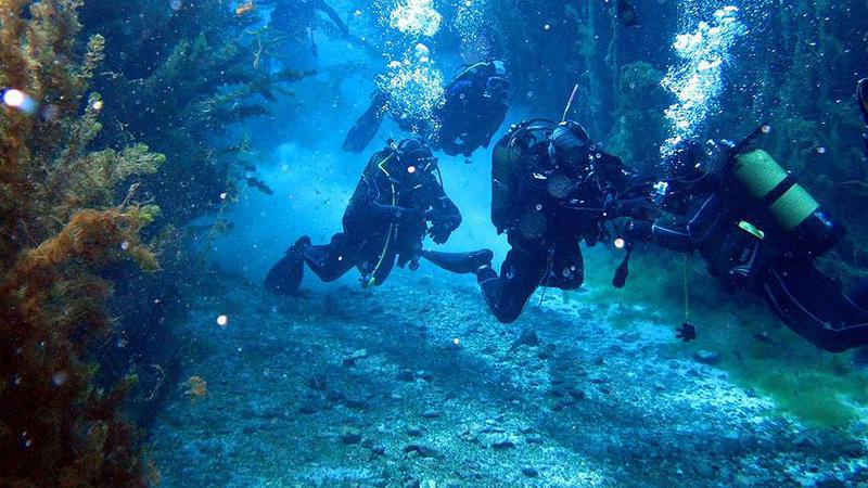 'Doğal akvaryum' balık adamların gözdesi oldu