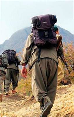 1 terörist teslim oldu