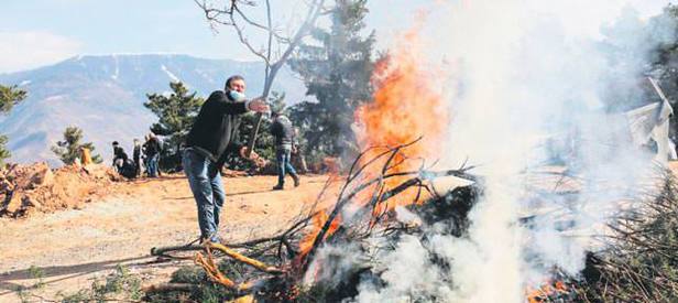 İşte 7 maddeyle Cerattepe gerçekleri