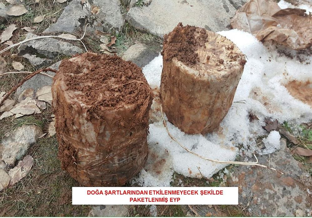 Terör örgütü PKK'ya darbe üstüne darbe-2