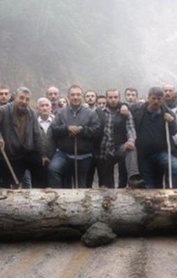 Ağaç kesen o provokatörler cezalandırılacak