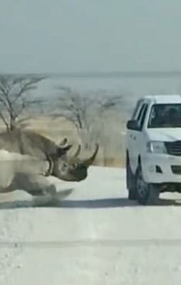 Bir anda araca saldırdı! Dehşet anları böyle görüntülendi