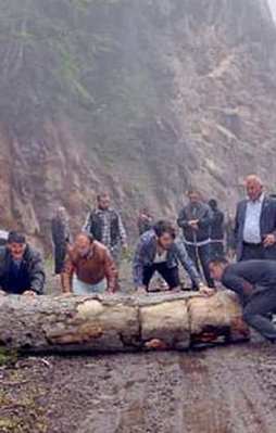 Almanların Cerattepe'deki altın oyunları