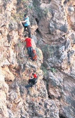 Haytalar iş başında!
