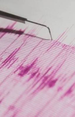Endonezya'da 7,9 büyüklüğünde deprem