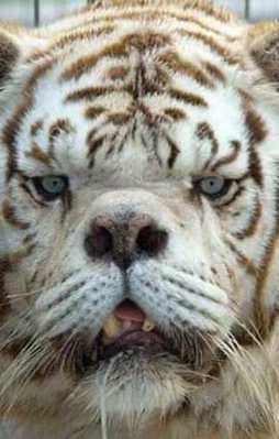 Dünyada bir ilk olarak tarihe geçti