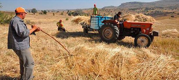 Çiftçiye ödeme başladı
