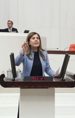 "Cumhurbaşkanı'mız elini değil gövdesini taşın altına sokmuştur"