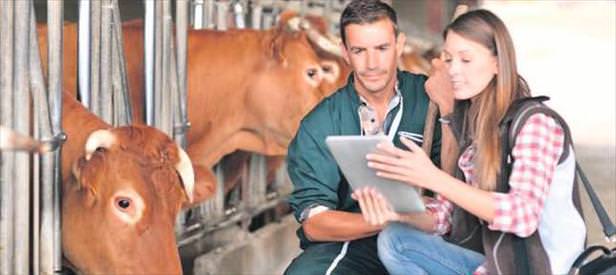 2 bin mühendise müjde