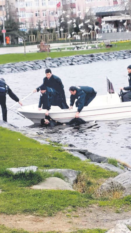 Küçükçekmece canavarı