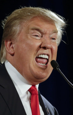 İslam düşmanlığı hepten başına vurdu!