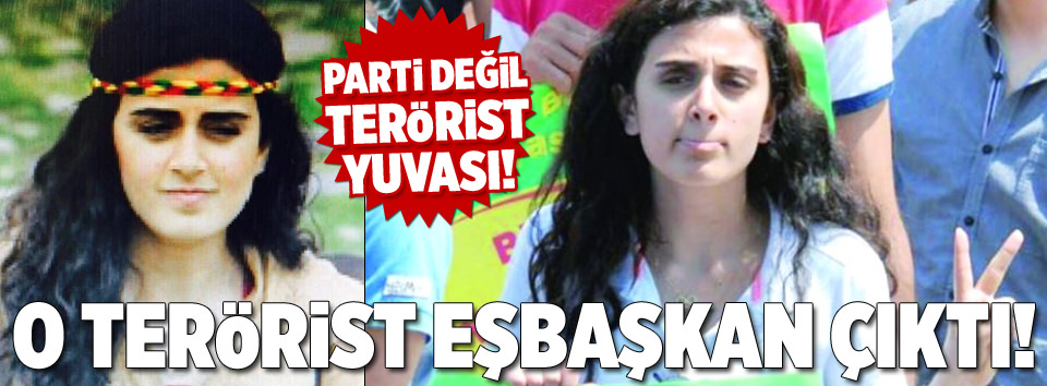 O terörist eşbaşkan çıktı!