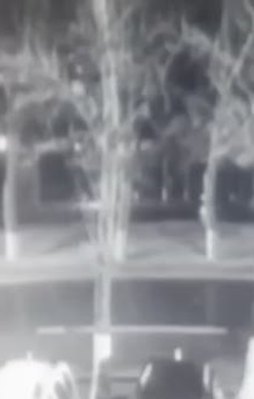 Rusya'da yolcu uçağı düştü: 61 ölü