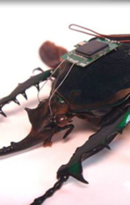 Bu savaş teknolojisi sizi dehşete düşürecek!