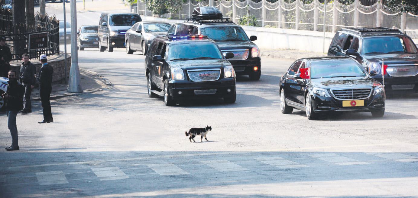 Seferberlik çağrısı-7