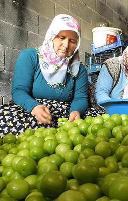 Eriğin fiyatı 30 liraya kadar düştü