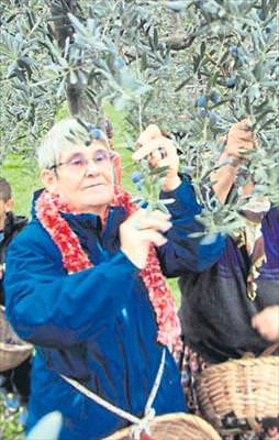 Önce zeytin sonra uçuş