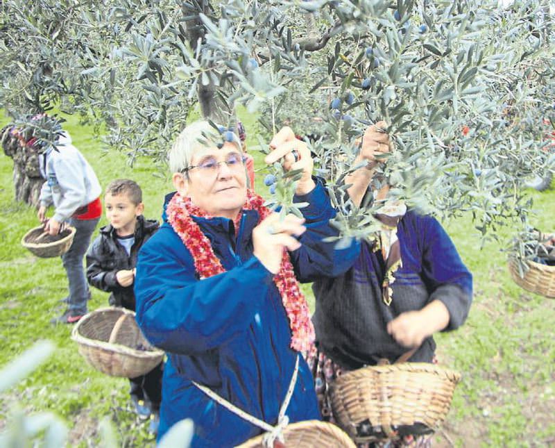 Önce zeytin sonra uçuş
