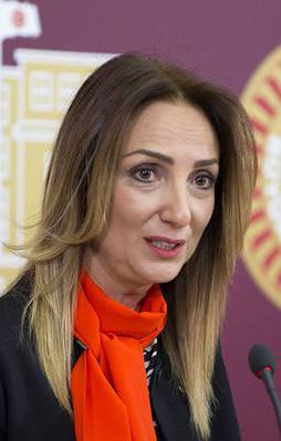 Aylin Nazlıaka'ya fezleke şoku