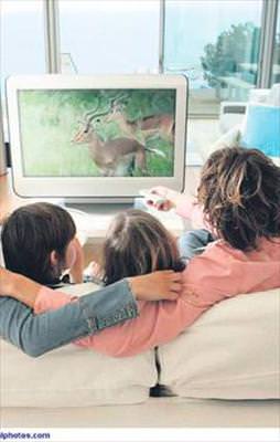 Elektrikte artış olmayacak