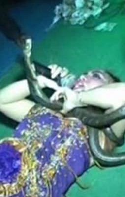 Sahnede yılan sokan popçu öldü