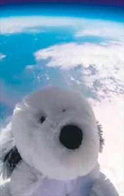 Köpek Sam uzaya kaçtı