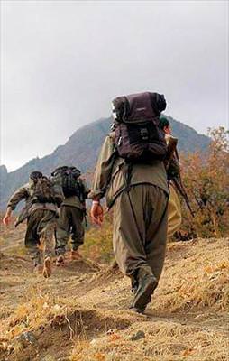 206 PKK’lı öldürüldü