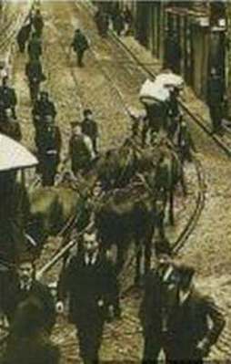 İşte “Dingo’nun ahırı” deyiminin ilginç hikayesi