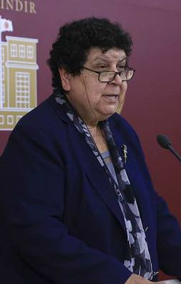 CHP’li vekilden teröristlere 'eylemci' tanımlaması