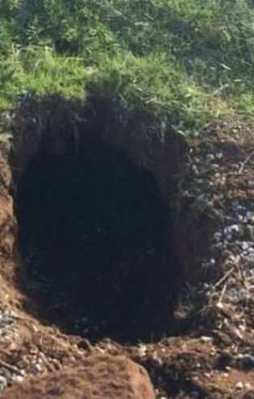 Bitlis'te kalleş tuzak! Asker son anda fark etti