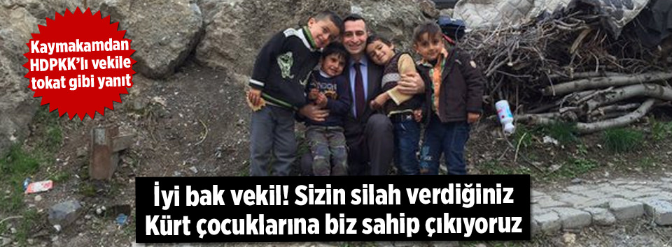 Beytüşşebap Kaymakamı’ndan HDP’li vekile tokat gibi yanıt