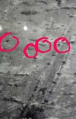 Nusaybin'de PKK'ya ağır darbe