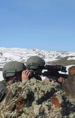 PKK'nın Bitlis yapılanması çökertildi!