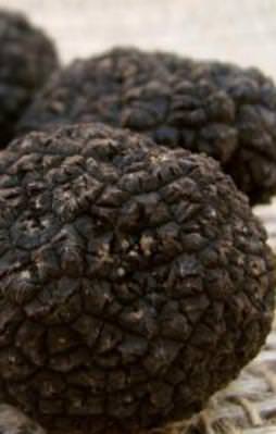 Bakanlık 'siyah elmas' üretimi için düğmeye bastı