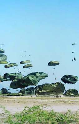 ABD ordusunda tatbikat felaketi