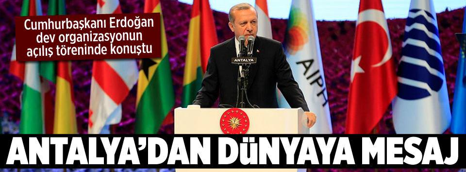 Antalya çiçek açtı-2