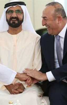 BAE divanına dost ziyareti