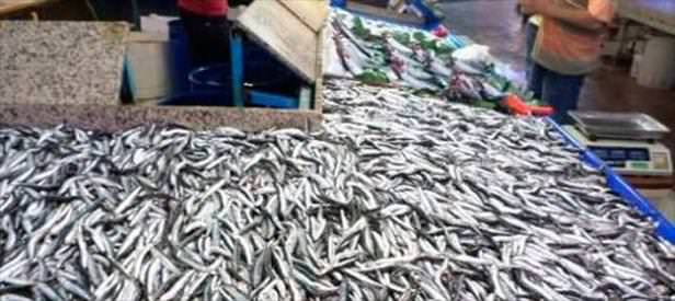 Av yasağı başladı balık fiyatları arttı