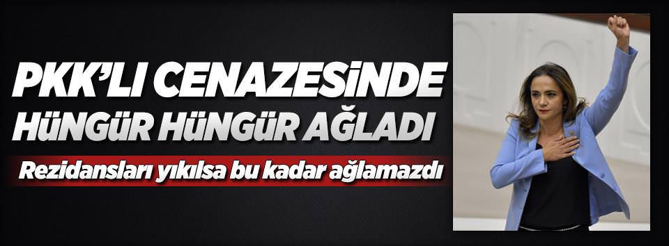 CHP'li vekil canlı bombaya üzüldü!-8