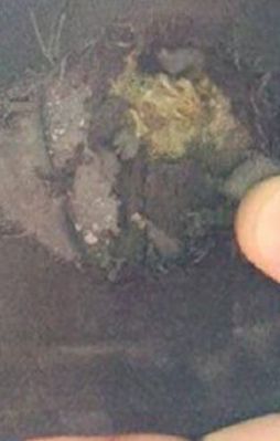 Terör saldırısından mucizevi kurtuluş