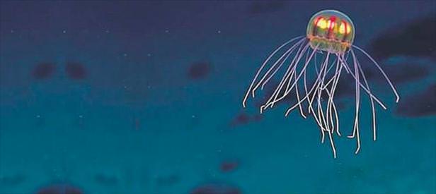 Uzaylı denizanası
