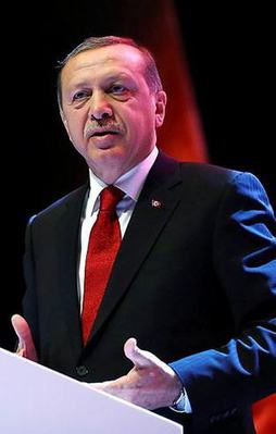 "Başkanlık Erdoğan'ın talebi değildir"