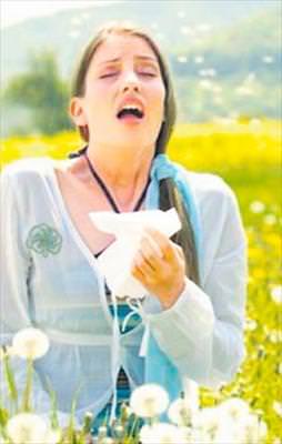 Badem, ceviz alerjiyi yeneriz