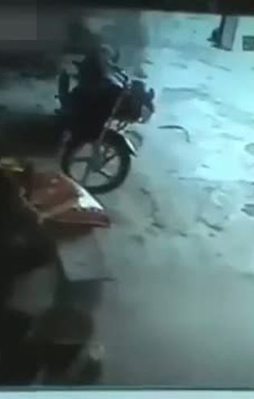 Aslan yürekli inek genç kızı böyle kurtardı