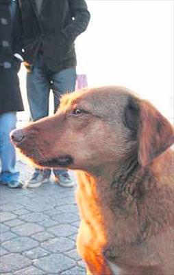 Tarçın’ın heykeli Moda’ya dikilecek