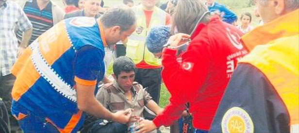 Mantar yiyerek hayatta kaldı