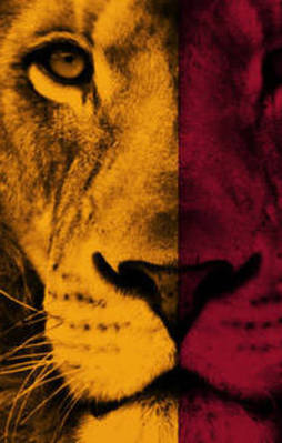 İşte CimBom'un son gözdeleri