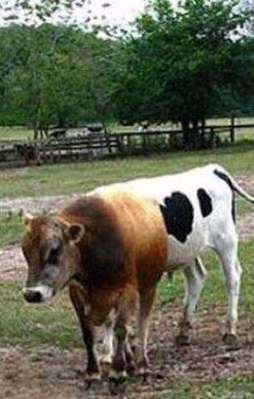 Sosyal medyanın konuştuğu fotoğraf!