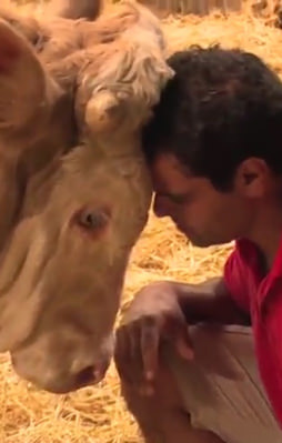 Özgür kalınca böyle teşekkür etti