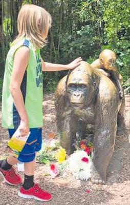 Harambe’nin suçu ne?